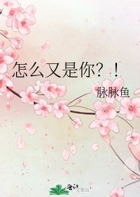 怎么又是你?!